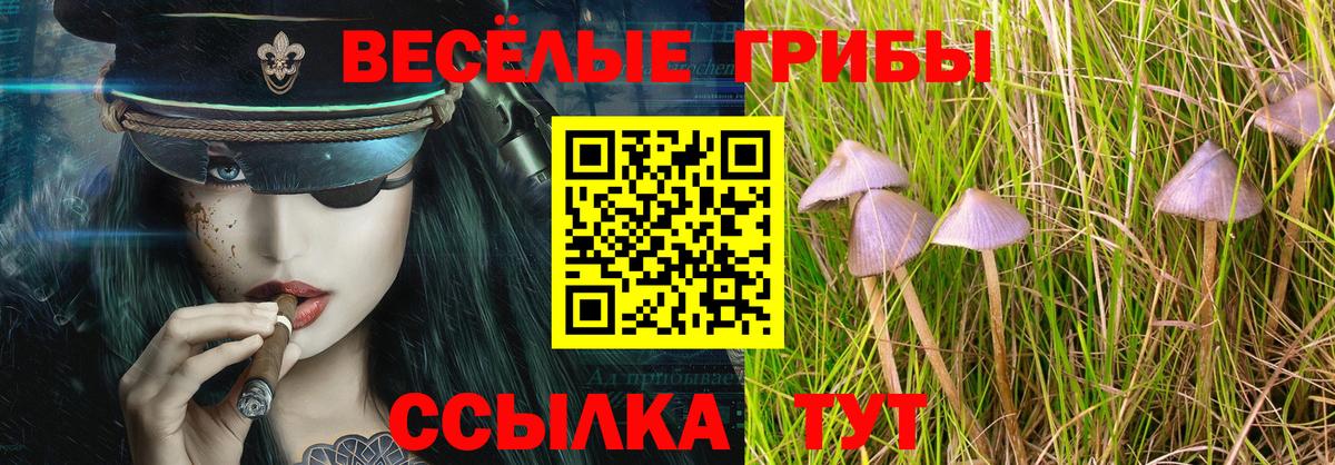 Псилоцибиновые грибы Magic Shrooms  Вход с VPN  где продают наркотики  Иркутск 